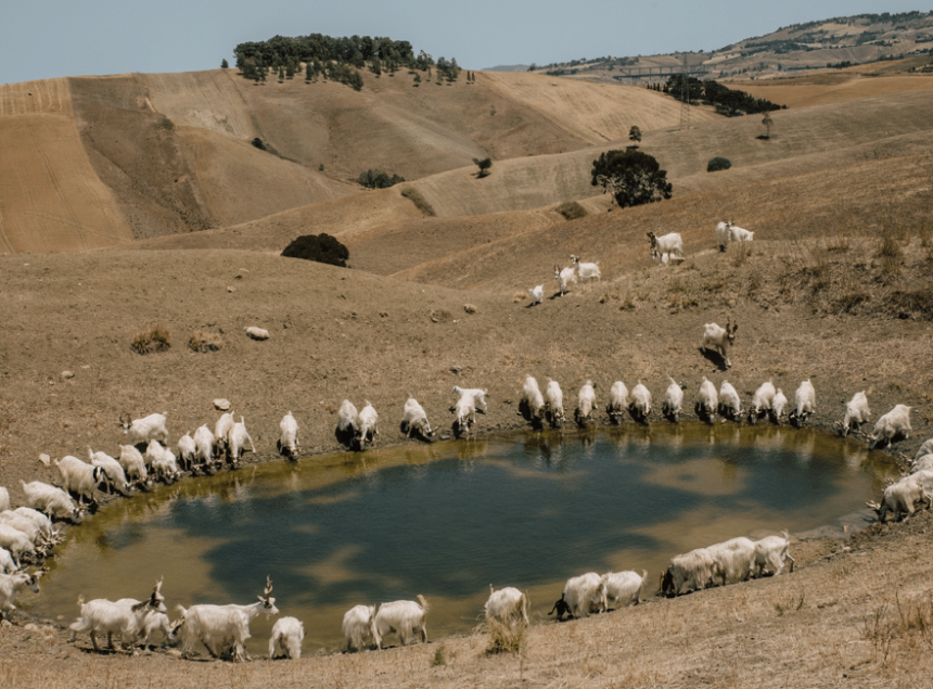 siccita-in-Sicilia L’acqua alla gola (degli altri): dai furbetti di Vittel al grande scippo siciliano